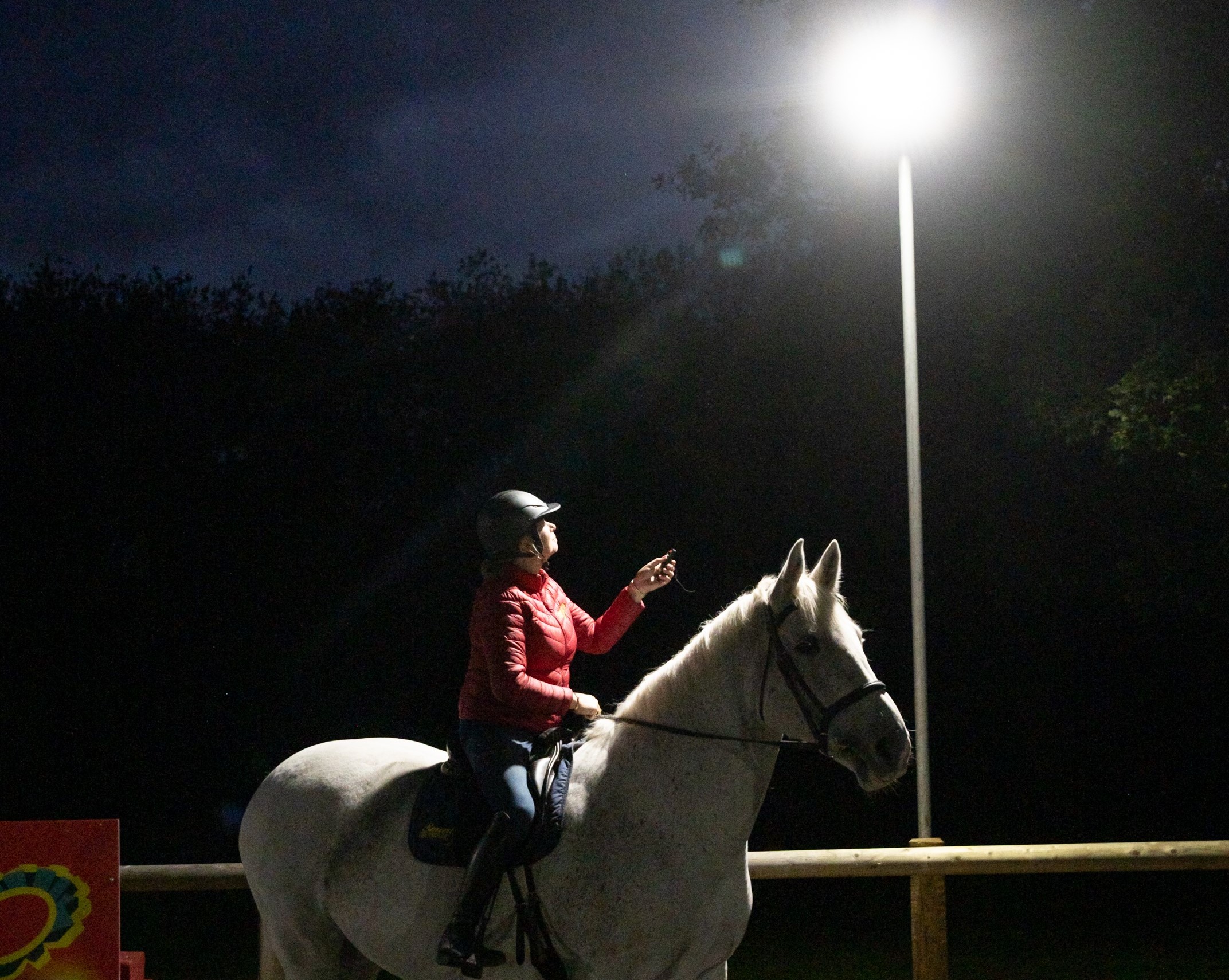 Solar flood lights for deals horse arena